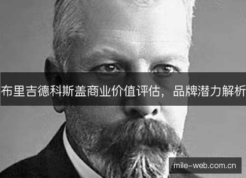 布里吉德科斯盖商业价值评估,品牌潜力解析 布里吉德科斯盖商业价值评估,品牌潜力解析